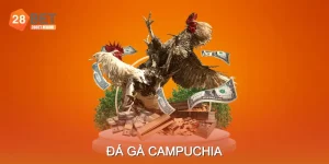 Đá Gà Campuchia Mang Đến Trận Đấu Kịch Tính Và Hấp Dẫn
