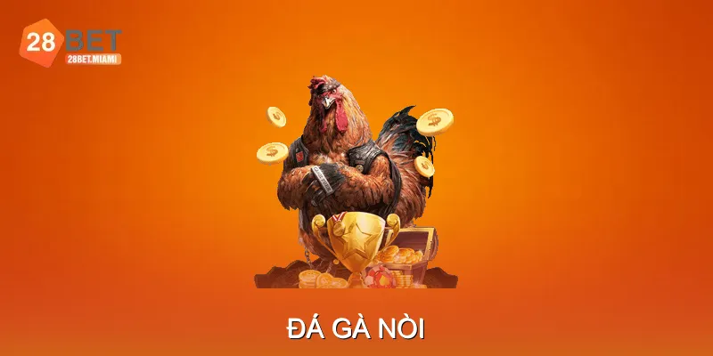 Hướng Dẫn Nuôi & Chăm Sóc Gà Nòi