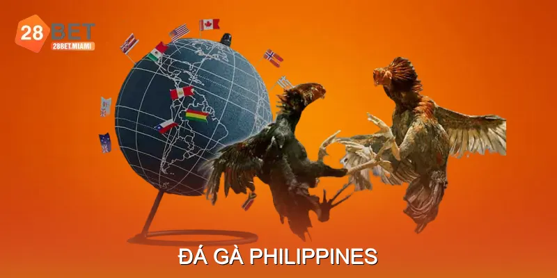 Đá Gà Philippines Những Quy Tắc Cần Biết Khi Tham Gia
