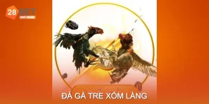 Đá Gà Tre Xóm Làng - Cách Chọn Gà Và Luyện Tập Chuẩn