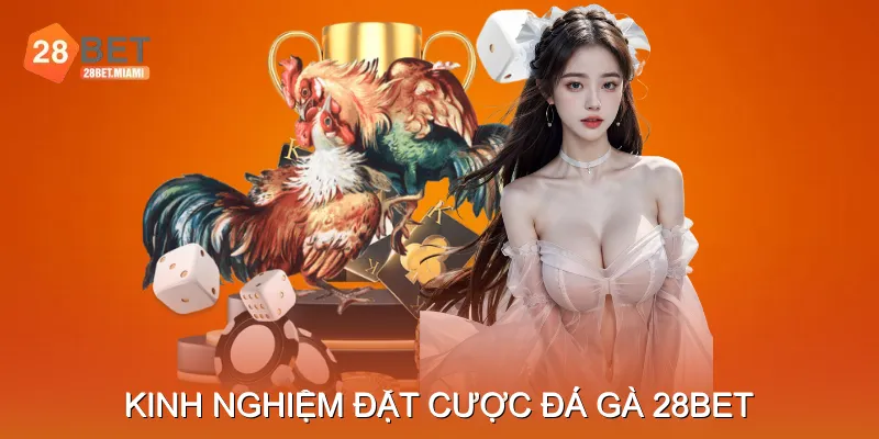 Kinh Nghiệm Soi Kèo Và Đặt Cược Đá Gà 28BET