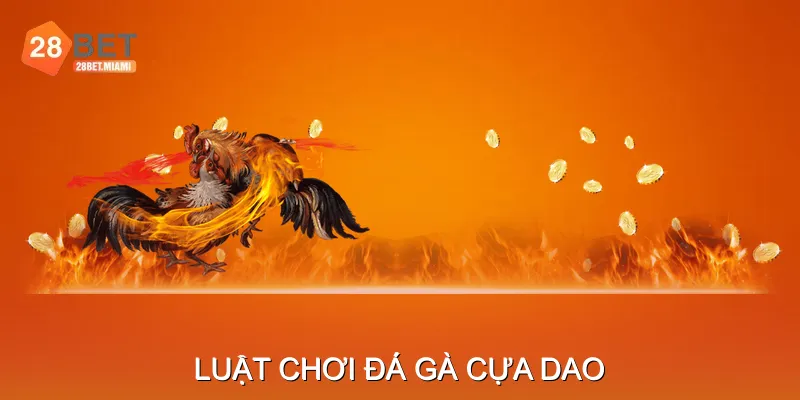 Luật Chơi Đá Gà Cựa Dao