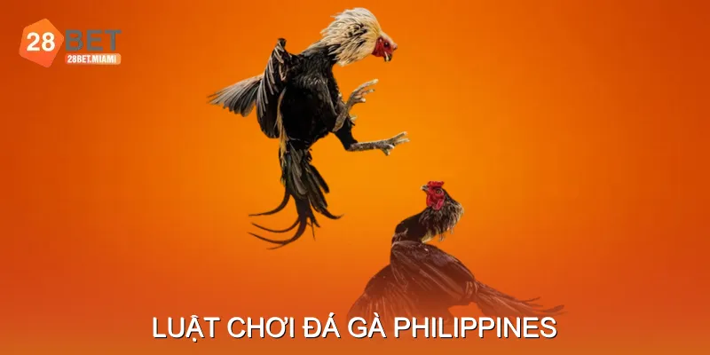 Luật Chơi Đá Gà Philippines